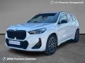 usato BMW X1