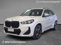 usato BMW X1
