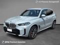 usato BMW X5