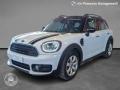 usato MINI Countryman