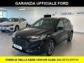 usato FORD Kuga