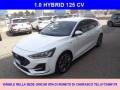 usato FORD Focus