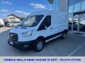 usato FORD Transit