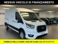usato FORD Transit