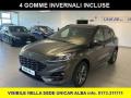 usato FORD Kuga