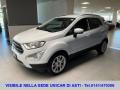 usato FORD EcoSport