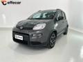 usato FIAT Panda