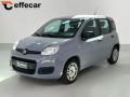 usato FIAT Panda