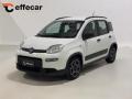 usato FIAT Panda