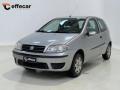 usato FIAT Punto