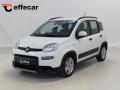 usato FIAT Panda