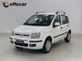 usato FIAT Panda
