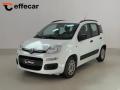 usato FIAT Panda