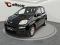 usato FIAT Panda