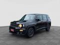 usato JEEP Renegade