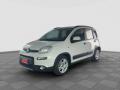 usato FIAT Panda
