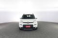 usato FIAT Panda