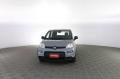 usato FIAT Panda