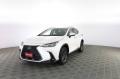 usato LEXUS Altro