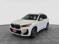 usato BMW X1