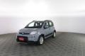 usato FIAT Panda