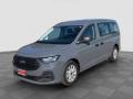 usato FORD Tourneo Connect