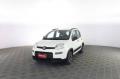 usato FIAT Panda