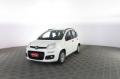 usato FIAT Panda