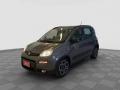 usato FIAT Panda