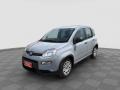 usato FIAT Panda