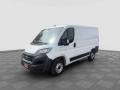 usato FIAT Ducato