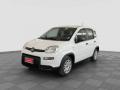 usato FIAT Panda