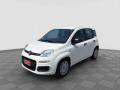 usato FIAT Panda
