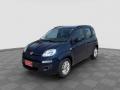 usato FIAT Panda