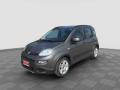 usato FIAT Panda