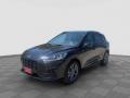 usato FORD Kuga