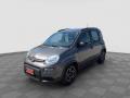 usato FIAT Panda