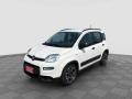 usato FIAT Panda