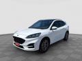 usato FORD Kuga