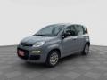 usato FIAT Panda