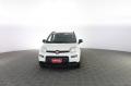 usato FIAT Panda