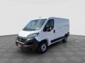 usato FIAT Ducato