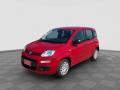 usato FIAT Panda
