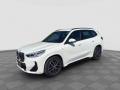 usato BMW X1
