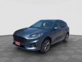 usato FORD Kuga