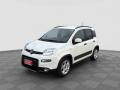 usato FIAT Panda