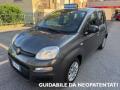 usato FIAT Panda
