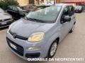 usato FIAT Panda