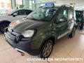usato FIAT Panda Cross