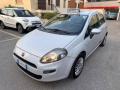 usato FIAT Punto Evo